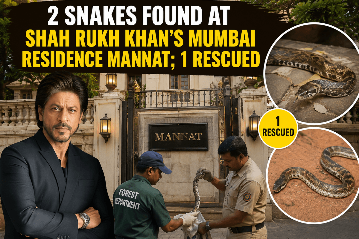 Two snakes spotted at Shah Rukh Khan's Mannat on Nag Panchami; one rescued