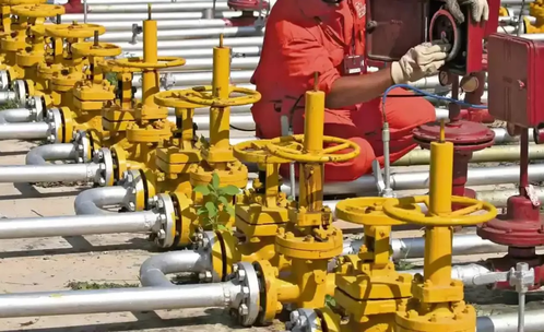 Govt approves PNG connection incentive scheme, explores E10 petrol option for older vehicles