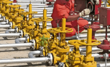 Govt approves PNG connection incentive scheme, explores E10 petrol option for older vehicles