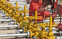 Govt approves PNG connection incentive scheme, explores E10 petrol option for older vehicles
