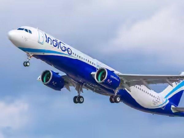 IndiGo website faces disruption again, passengers report booking issues IndiGo website faces disruption again, passengers report booking issues