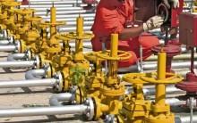Centre asks states to help in speeding up switch from LPG to PNG by households