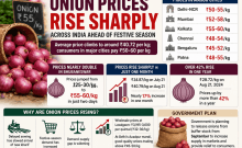Onion prices rise sharply across India ahead of festive season; here's what's driving the spike