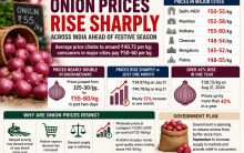Onion prices rise sharply across India ahead of festive season; here's what's driving the spike