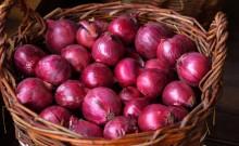 Onion Prices Jump Up To 40% In A Week, Check Latest Rates In Major Cities