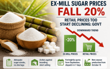 Ex-Mill Sugar Prices Drop 20%, Retail Rates Also Begin To Fall: Govt