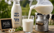 Mumbai milk prices to rise by Rs 9 per litre from September 1 ahead of festive season
