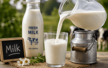 Mumbai milk prices to rise by Rs 9 per litre from September 1 ahead of festive season
