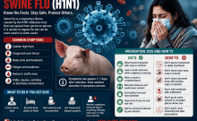 H1N1 cases rise in India: How to tell swine flu from common viral fever; dos and don'ts to stay safe