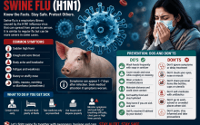 H1N1 cases rise in India: How to tell swine flu from common viral fever; dos and don'ts to stay safe