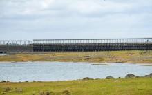 Karnataka cuts Cauvery water release to Tamil Nadu by 57 pc amid rainfall dip