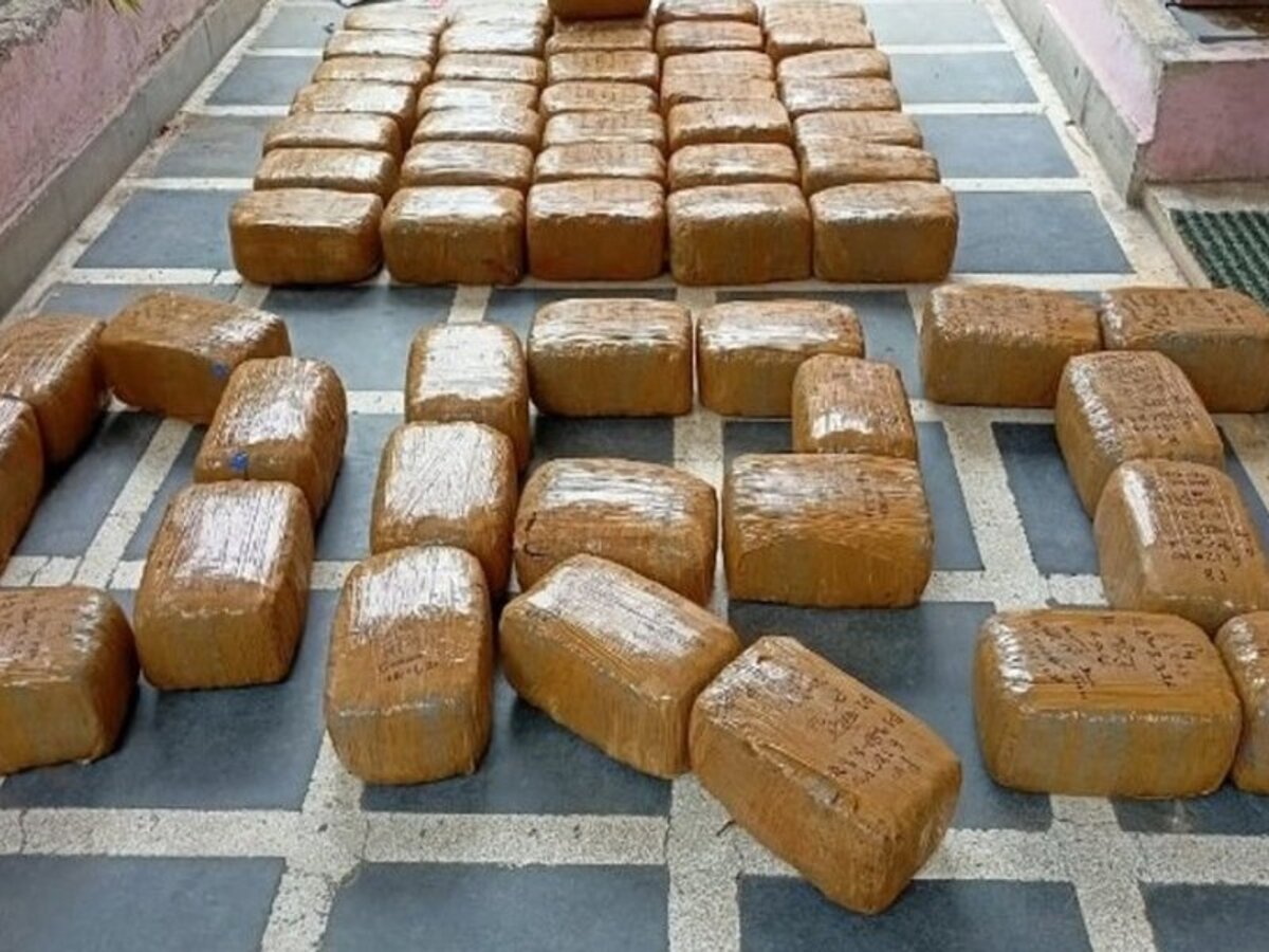 DRI seizes nearly 740 kg cannabis in 8 operations, arrests 13 suspects