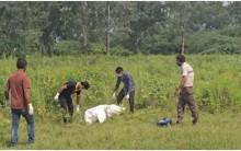 'Saw Dogs Eating Her': How Decomposed Body Of Delhi Rape Victim Was Found