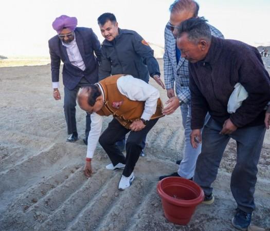 LG Ladakh Vinai Kumar Saxena sowing Saffron in a field in Ladakh Saffron Cultivation