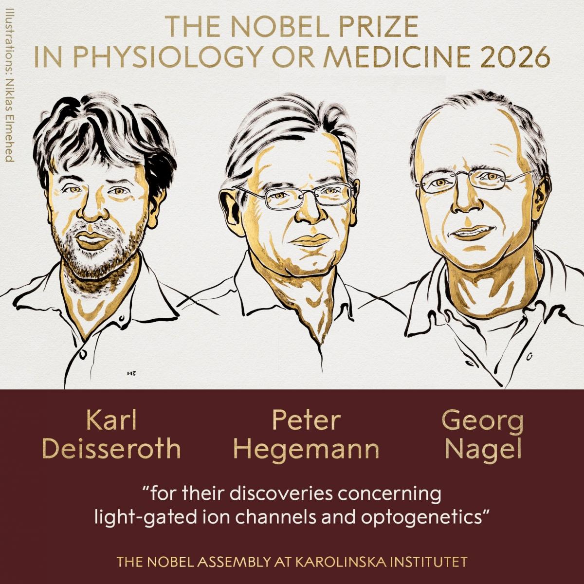 Nobel Prize in Physiology or Medicine 2026: Karl Deisseroth, Peter Hegemann and Georg Nagel win for optogenetics