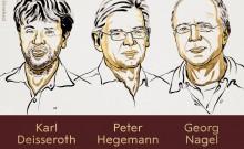 Nobel Prize in Physiology or Medicine 2026: Karl Deisseroth, Peter Hegemann and Georg Nagel win for optogenetics