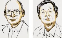 Nobel Prize in Chemistry 2026 awarded for solving molecular asymmetry mystery