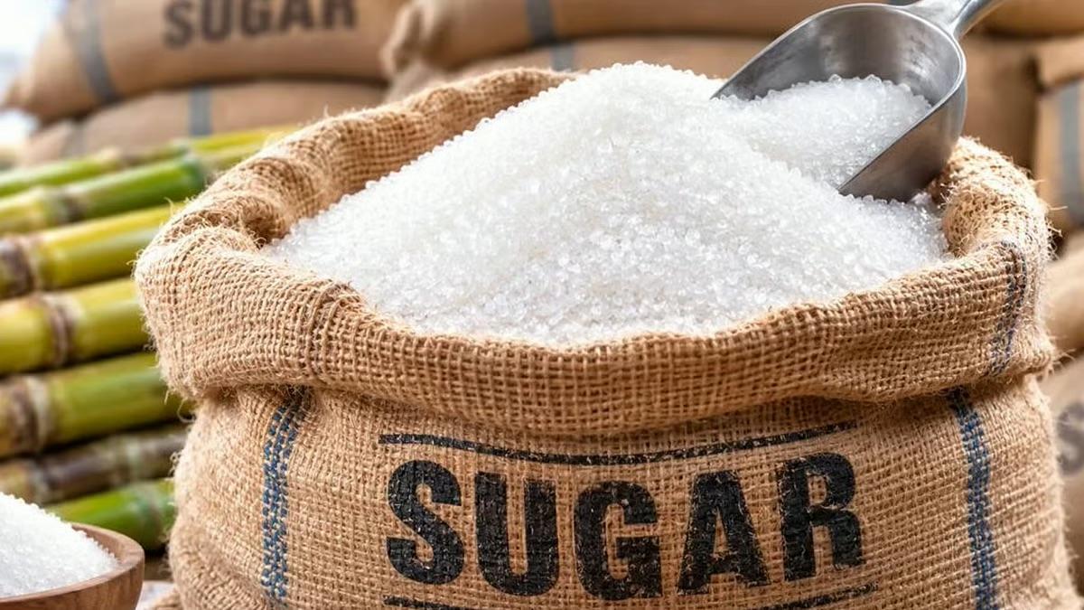 India halts sugar diversion for ethanol in 2026-27, invites bids for 11 billion litres amid rising prices