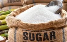 India halts sugar diversion for ethanol in 2026-27, invites bids for 11 billion litres amid rising prices