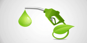 India halts sugar diversion for ethanol in 2026-27, invites bids for 11 billion litres amid rising prices India halts sugar diversion for ethanol in 2026-27, invites bids for 11 billion litres amid rising prices