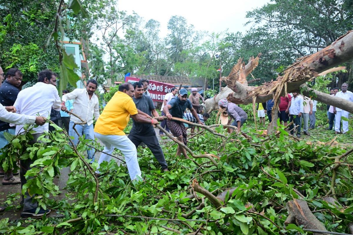 Cyclone Arnab claimed 7 lives in Andhra, losses estimated at Rs 4,600 crore