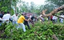 Cyclone Arnab claimed 7 lives in Andhra, losses estimated at Rs 4,600 crore