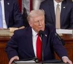 Nine Iranian naval ships sunk: Trump