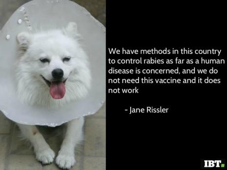 World Rabies day quotes