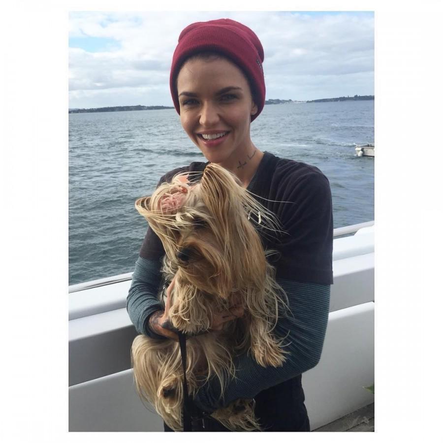 Ruby Rose is internet's most 'dangerous' celebrity! Ruby Rose,actress Ruby Rose,batwoman ruby rose,Ruby Rose dangerous celebrity,dangerous celebrity,most dangerous celebrity,Orange,Is the New Black,The Meg,dangerous celebrity on the internet