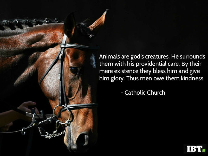World Animal Day greetings World Animal Day 2018,World Animal Day,World Animal Day quotes,World Animal Day wishes,World Animal Day greetings,World Animal Day sms,World Animal Day picture greetings,World Animal Day pics,World Animal Day images,World Animal Day pictures,World Animal