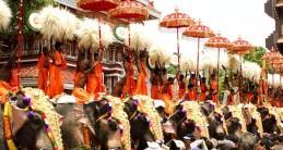 Thrissur Pooram 2015