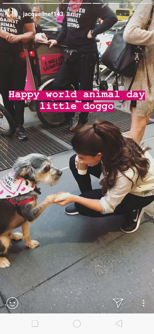 Jacqueline Fernandez expresses her views against animal testing at the UN World Animal Day,World Animal Day 2018,Jacqueline Fernandez,actress Jacqueline Fernandez