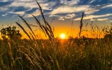 25. If the Earth were even 10 feet closer to the Sun, it would be inhospitable.