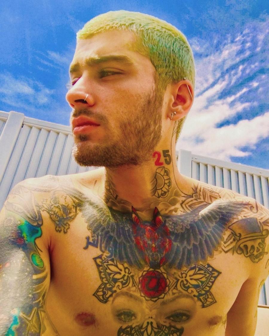 Singer Zayn Malik sends his fans in a tizzy as he shares a shirtless