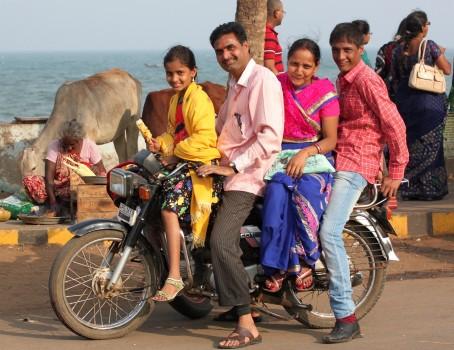 The Middle Class Family Bike