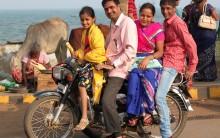 The Middle Class Family Bike