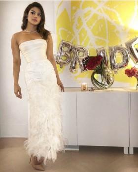 Priyanka Chopra's bridal shower heralds beginning of wedding celebrations with Nick Jonas