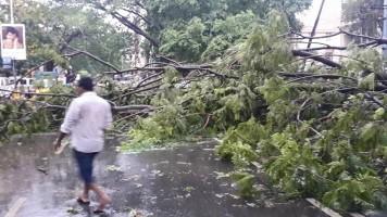 Heavy Rainfall in Bangalore,Heavy Rainfall,rainfall in bangalore today,rainfall in bangalore 2015,rain,rainfall in bangalore yesterday,rain bangalore,bangalore rain,bangalore monsoon,rainfall in bangalore last week