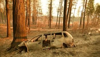 Woolsey Fire,California wildfire,california wildfire death toll,california wildfires,paradise california,thousand oaks,Sacremento,dystopia,post -apocalyptic