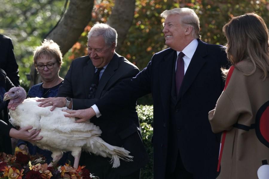 Turkey Pardoning By President Trump US,US President Donald Trump,Donald Trump,Donald Trump Turkey,Thanksgiving Day,thanksgiving,thanksgiving turkey,turkey pardon