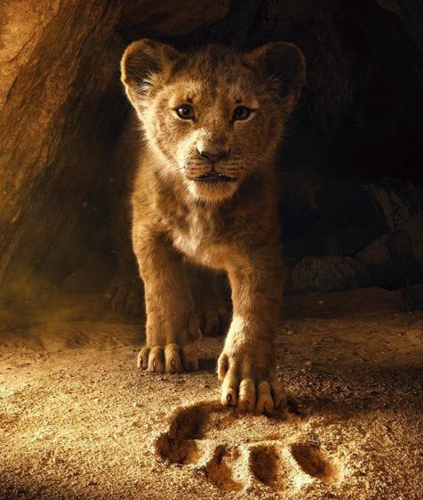 Disney Is Back With The Lion King Jon Favreau,The Jungle Book,Lion King,Walt Disney,Walt Disney Studios,John Kani,Donald Glover,Chewitel Ejiofor
