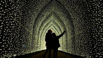 Kew Gardens,Britain,London,Kew Garden London,Christmas,Christmas 2018,Christmas at Kew Gardens,christmas celebrations,Christmas lights