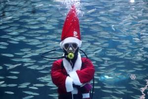 Seoul,South Korea,Christmas 2018,Swimming Santa,Santa Claus,Swimming With Fishes,aquarium,Christmas In Asia