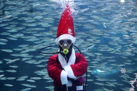 Santa Claus And The Fishes