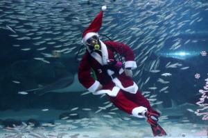 Seoul,South Korea,Christmas 2018,Swimming Santa,Santa Claus,Swimming With Fishes,aquarium,Christmas In Asia