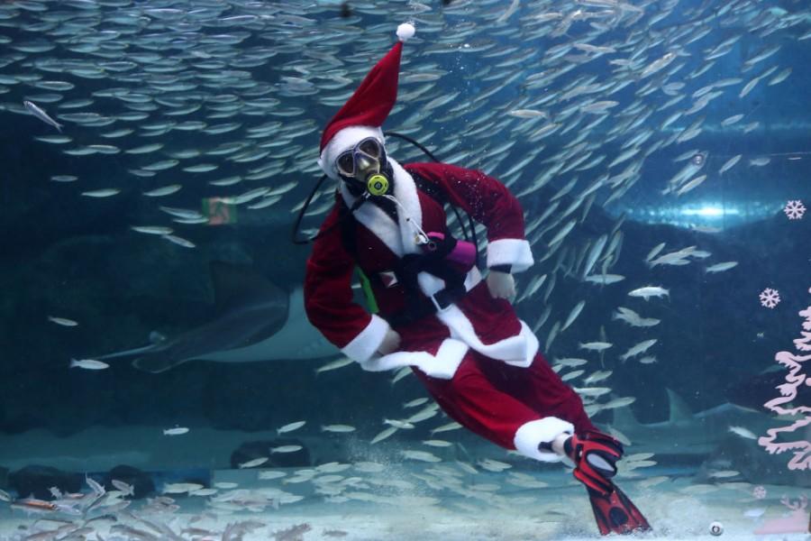 Santa Claus And The Fishes Seoul,South Korea,Christmas 2018,Swimming Santa,Santa Claus,Swimming With Fishes,aquarium,Christmas In Asia