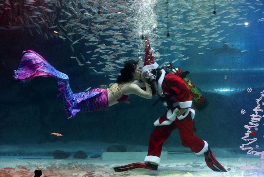 Santa Claus And The Fishes Seoul,South Korea,Christmas 2018,Swimming Santa,Santa Claus,Swimming With Fishes,aquarium,Christmas In Asia