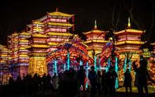 Chinese Lunar New Year in France