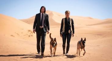 Twitterati,Twitterati Reacts,John Wick 3,Keanu Reeves,Keanu Reeves movies,John Wick: Chapter 3,John Wick,halle berry