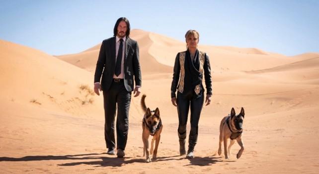 John Wick 3 Dog Trolling
